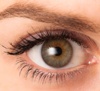 Quelle est la structure de l'œil et comment fonctionne-t-il ? Dans ce blog post, Dynoptic vous donne les principaux aperçus de l'anatomie de l'œil!